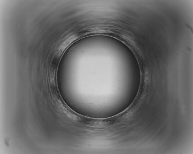 X0000102261273200808011356