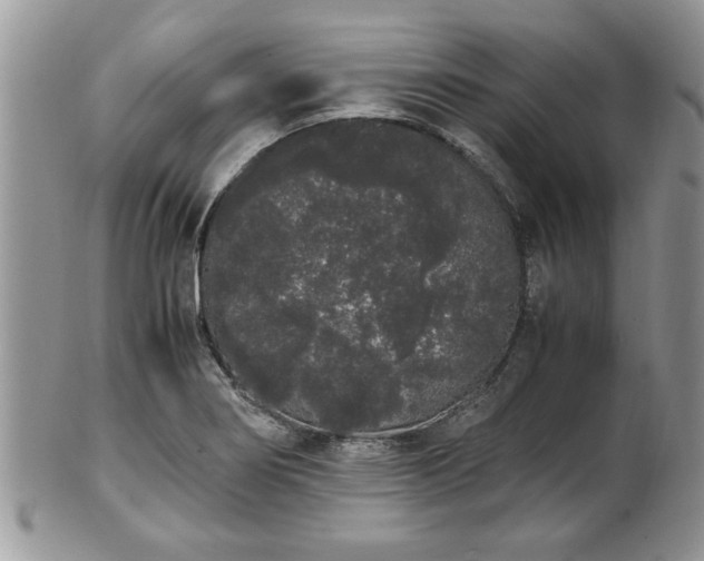 X0000102261274200808011356