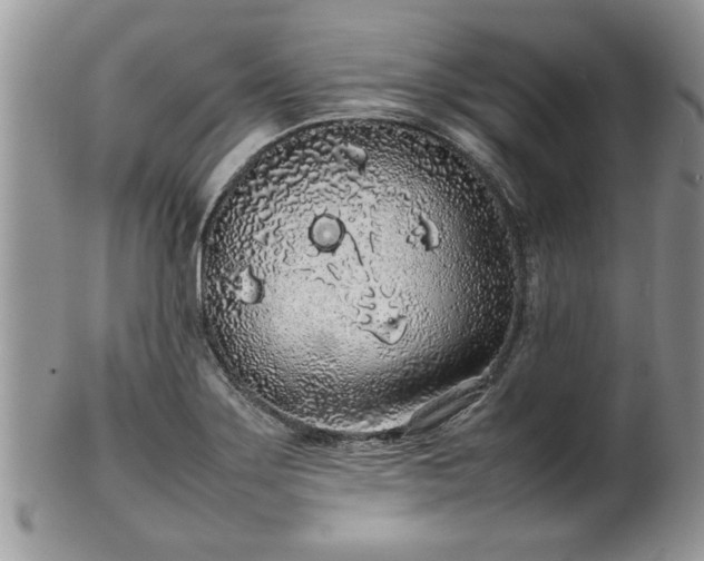 X0000102261275200808011356