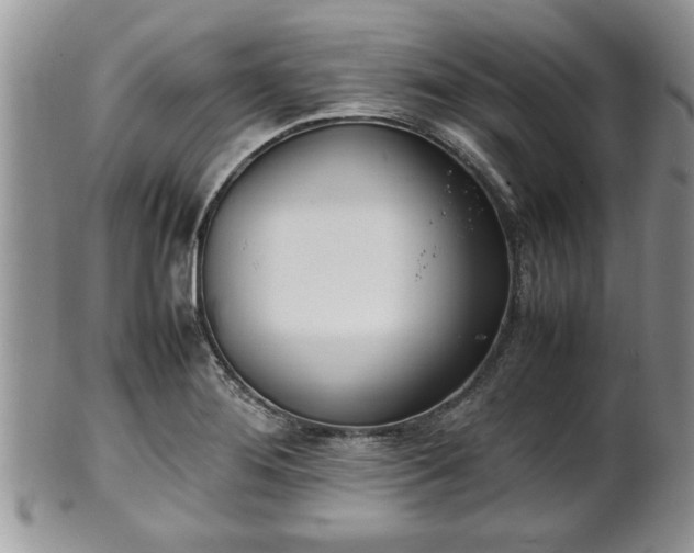 X0000102261276200808011356