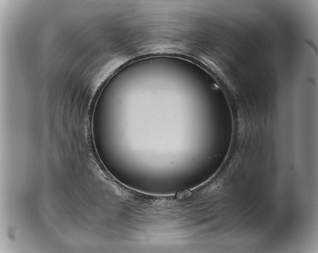 X0000102261277200808011356