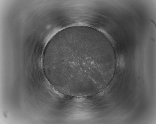 X0000102261278200808011356