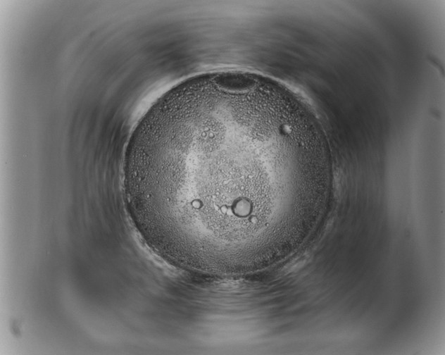 X0000102261279200808011356