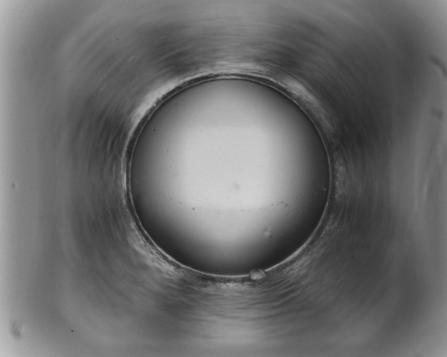 X0000102261280200808011356