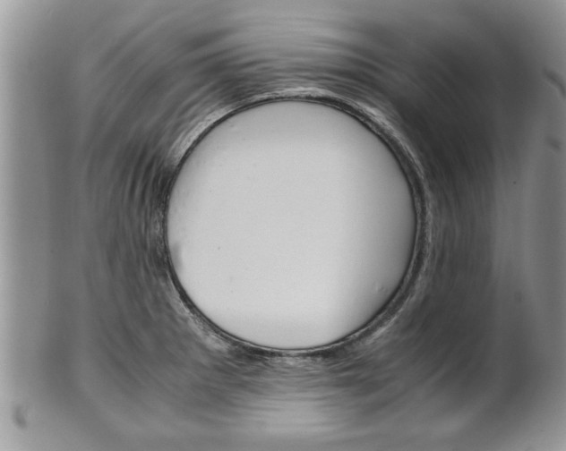 X0000102261281200808011356