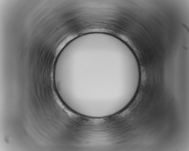 X0000102261282200808011356