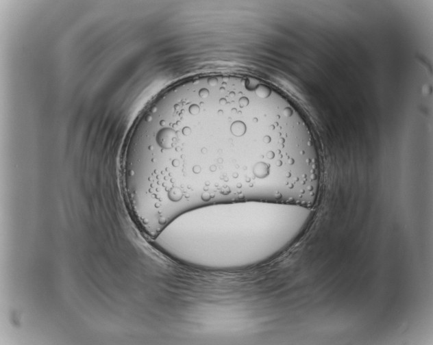 X0000102261283200808011356