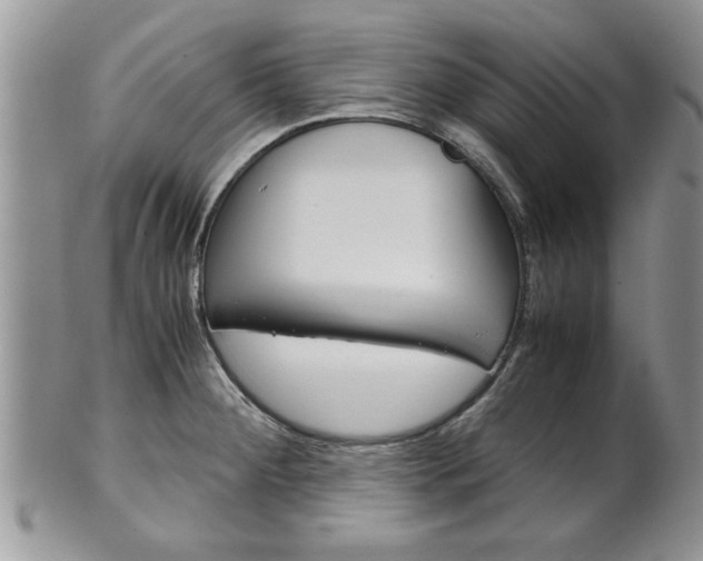 X0000102261284200808011356