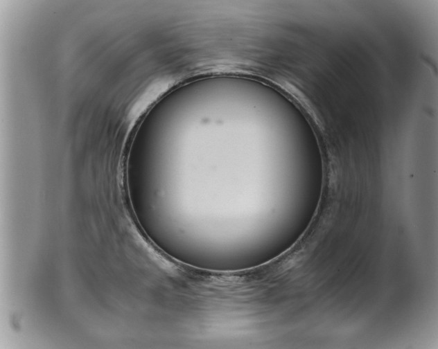 X0000102261285200808011356