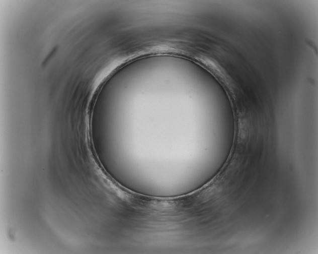 X0000102261286200808011356