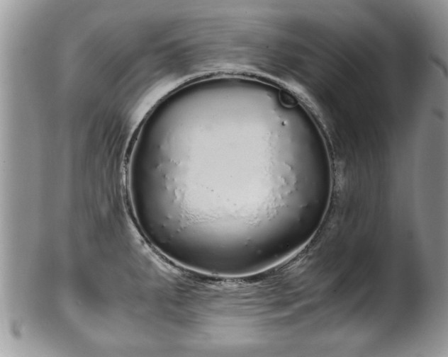 X0000102261287200808011356