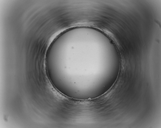 X0000102261288200808011356