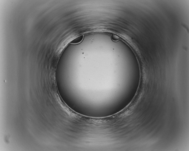 X0000102261289200808011356