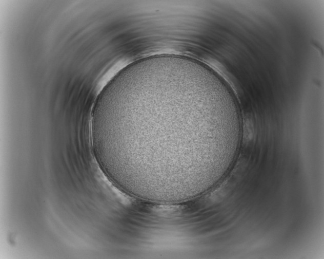 X0000102261290200808011356