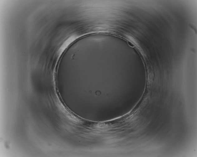 X0000102261291200808011356