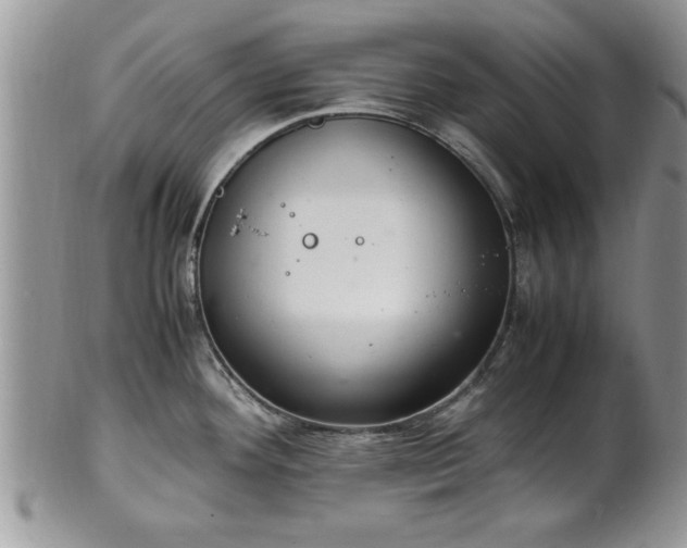 X0000102261292200808011356