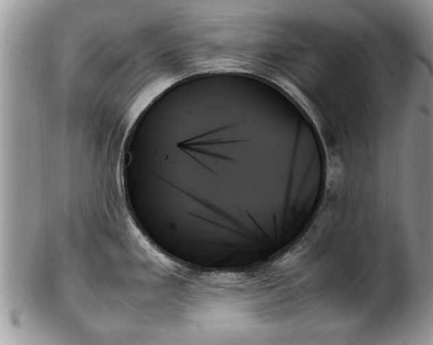 X0000102261293200808011356