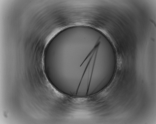 X0000102261294200808011356