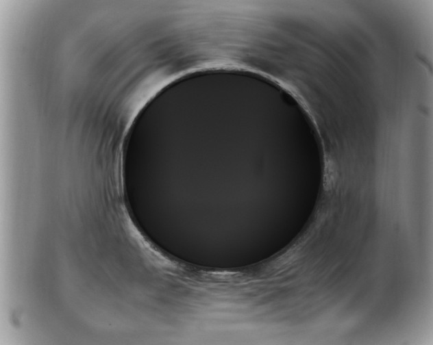 X0000102261295200808011356