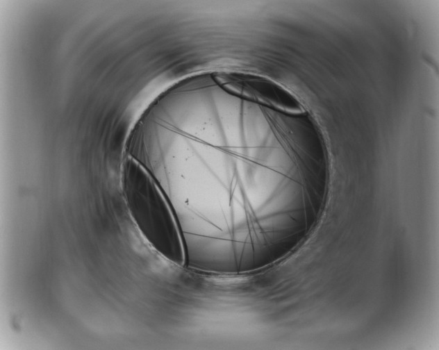 X0000102261296200808011356