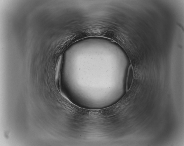 X0000102261297200808011355