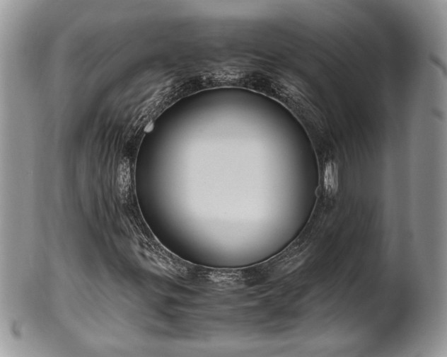 X0000102261299200808011355