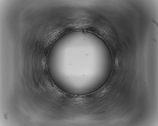 X0000102261300200808011355