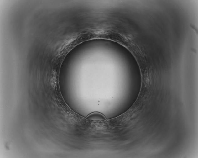 X0000102261301200808011355