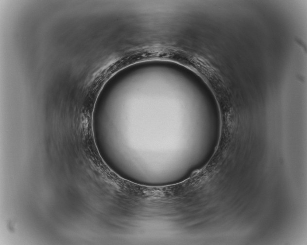 X0000102261302200808011355