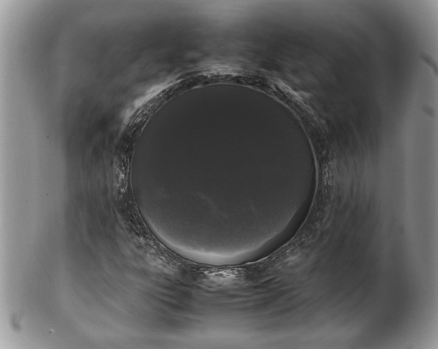 X0000102261303200808011355