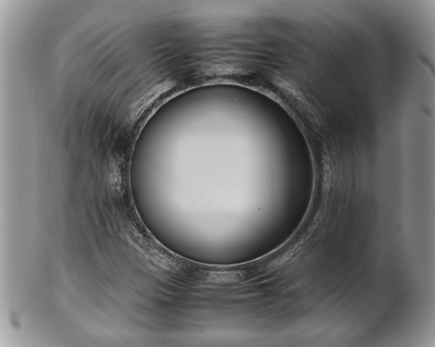 X0000102261305200808011355