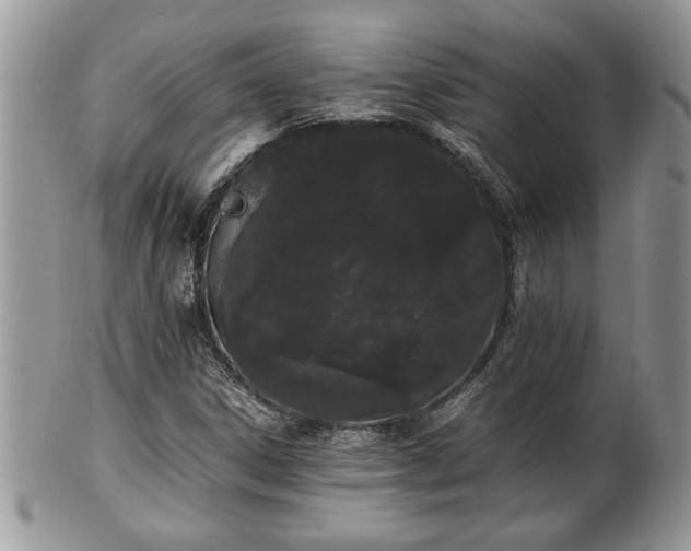 X0000102261306200808011355