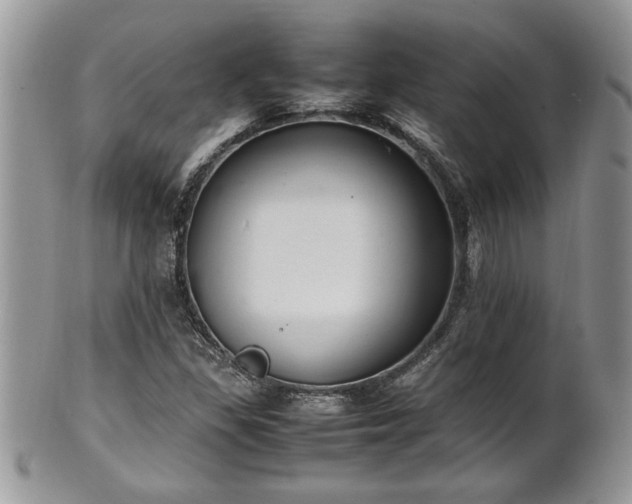 X0000102261309200808011355