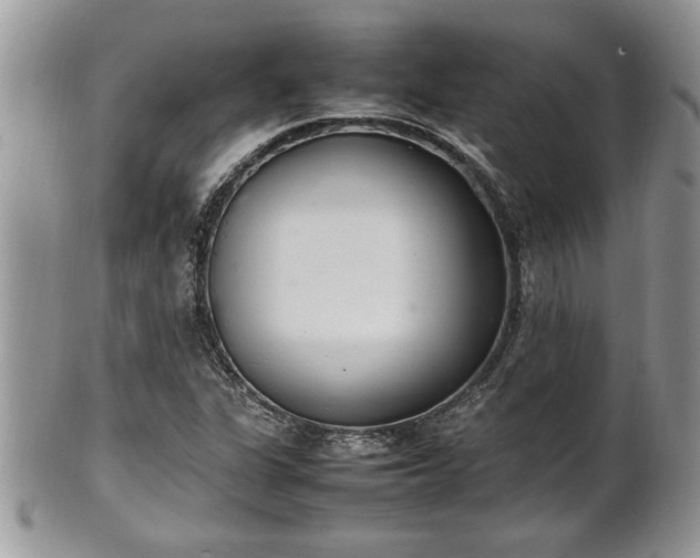 X0000102261311200808011355