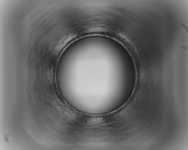 X0000102261313200808011355