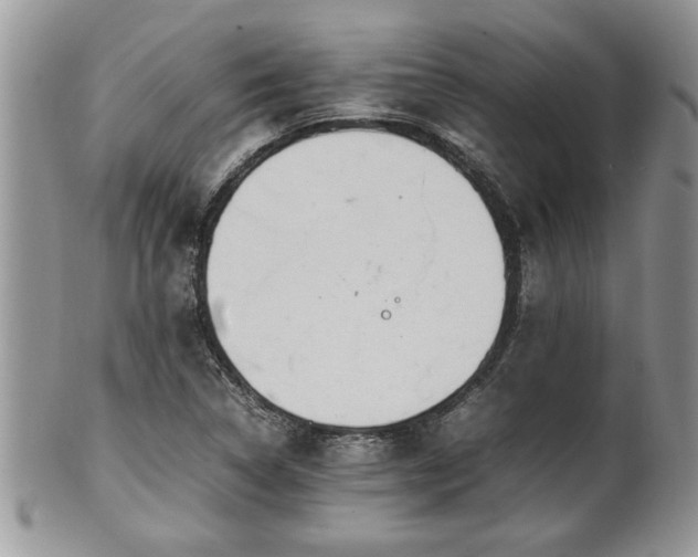 X0000102261314200808011355