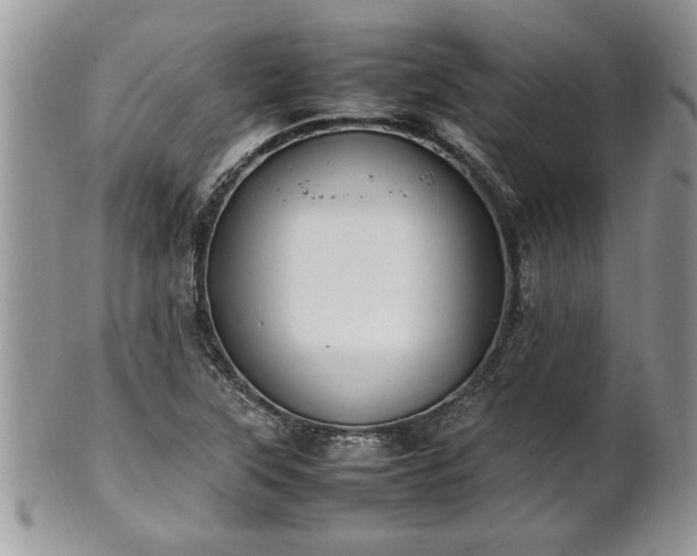 X0000102261315200808011355