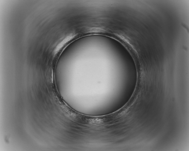 X0000102261317200808011355