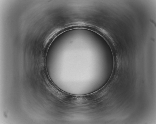 X0000102261318200808011355