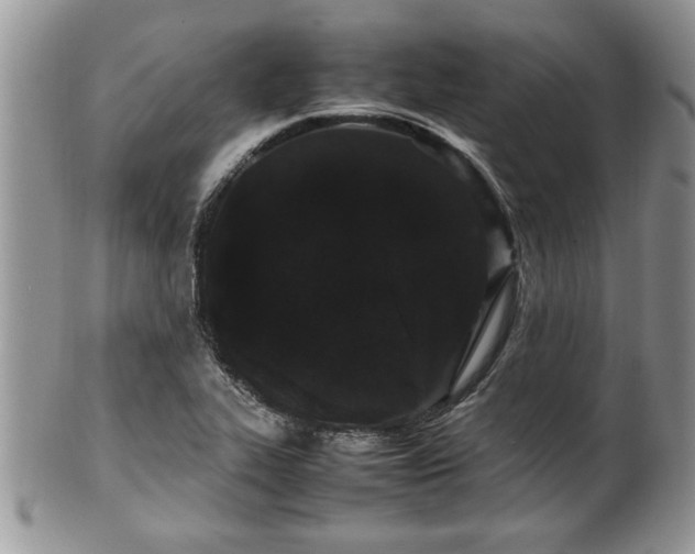 X0000102261319200808011355