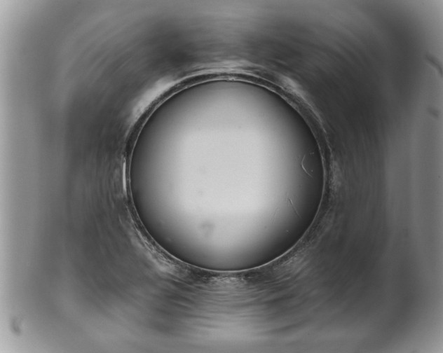 X0000102261320200808011355