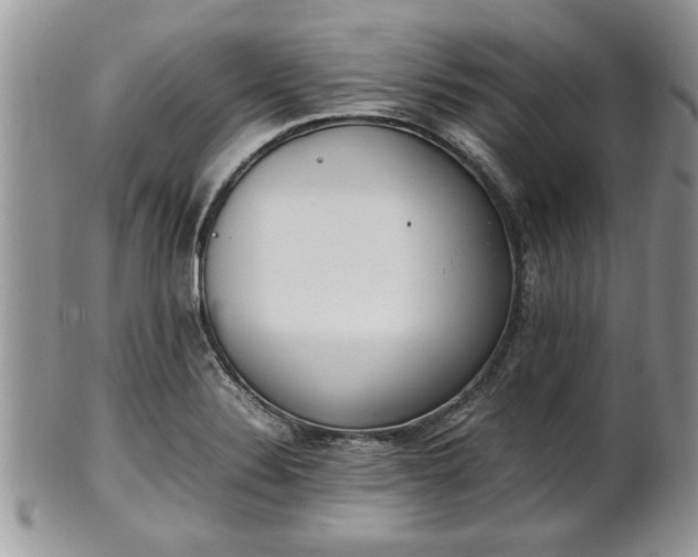 X0000102261324200808011355