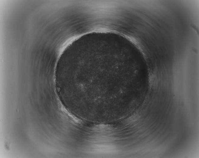 X0000102261327200808011355