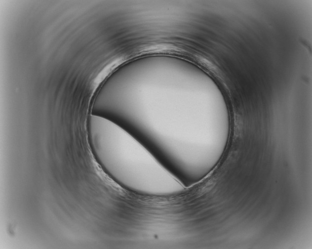 X0000102261330200808011355