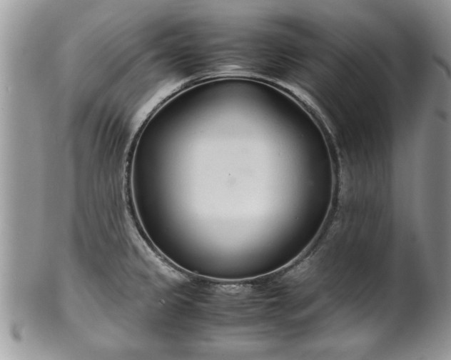 X0000102261333200808011355