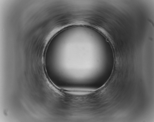 X0000102261335200808011356