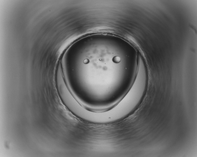 X0000102261336200808011356