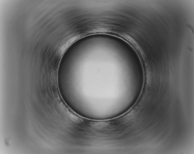 X0000102261337200808011356