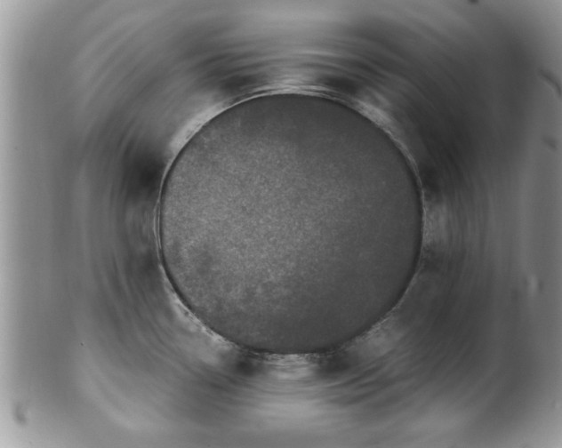 X0000102261338200808011356