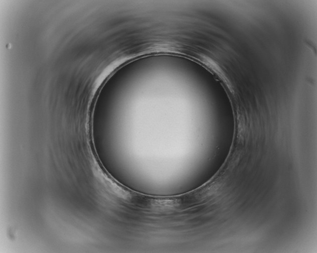 X0000102261339200808011356